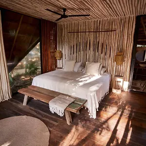 kapok-bacalar-plant-based-hotel.quintano-roohotels.com/